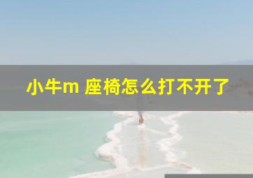 小牛m 座椅怎么打不开了